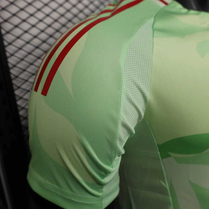 25/26 Player Version Italy Training Jersey Shirt