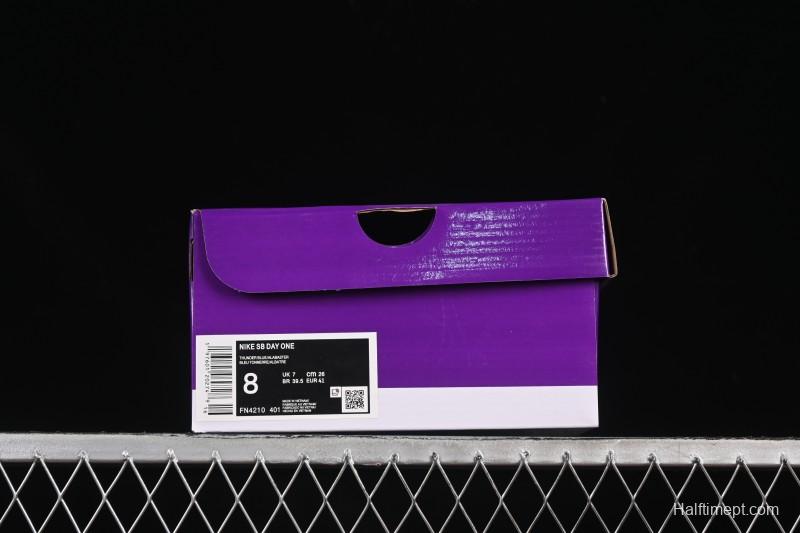 Nike SB Day One Low Casual Skate Shoes - FN4210-401