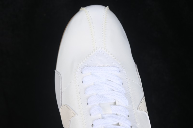 Nike Moon Shoe SP Retro Lifestyle Low-Top Casual Sneakers - IW0955-100