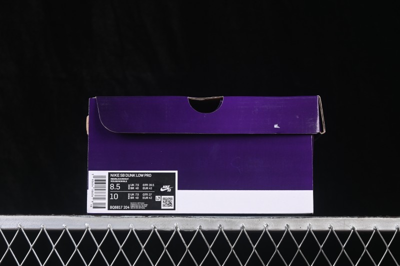 Nike SB Dunk Low Skateboarding Shoes with Cushioned Collar - BQ6817-204